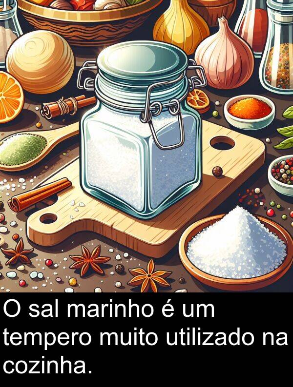 sal: O sal marinho é um tempero muito utilizado na cozinha.
