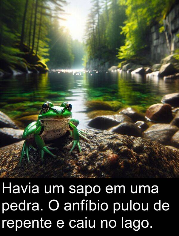 sapo: Havia um sapo em uma pedra. O anfíbio pulou de repente e caiu no lago.