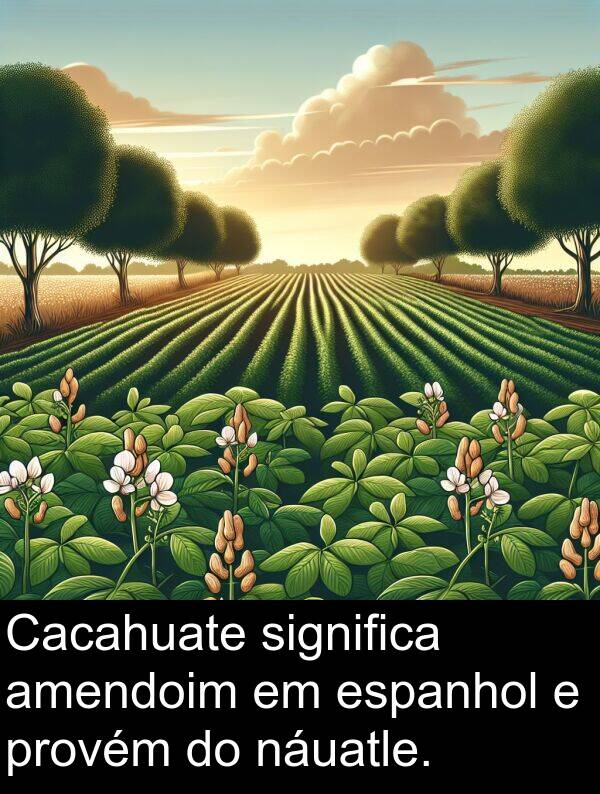 significa: Cacahuate significa amendoim em espanhol e provém do náuatle.