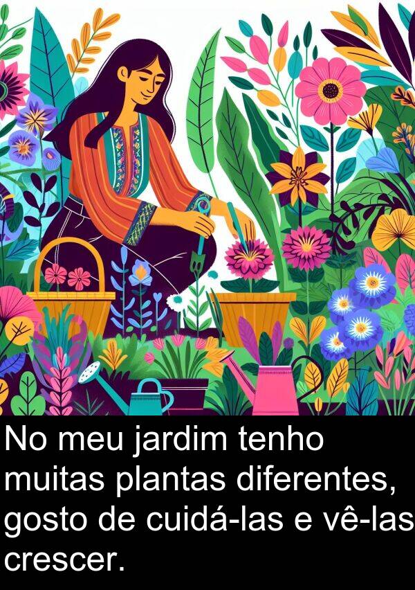 tenho: No meu jardim tenho muitas plantas diferentes, gosto de cuidá-las e vê-las crescer.