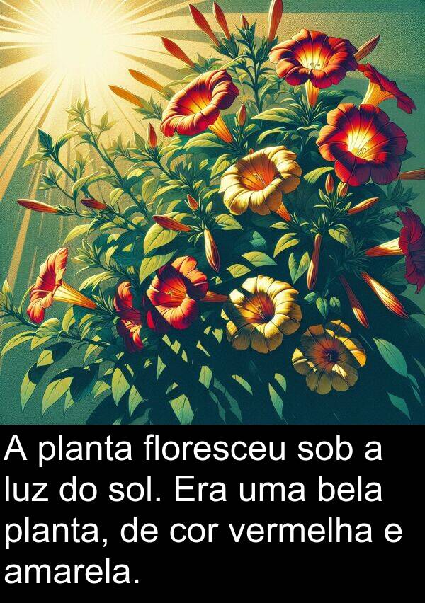sob: A planta floresceu sob a luz do sol. Era uma bela planta, de cor vermelha e amarela.