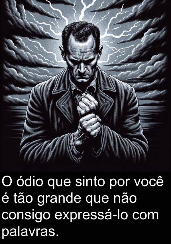 palavras: O ódio que sinto por você é tão grande que não consigo expressá-lo com palavras.