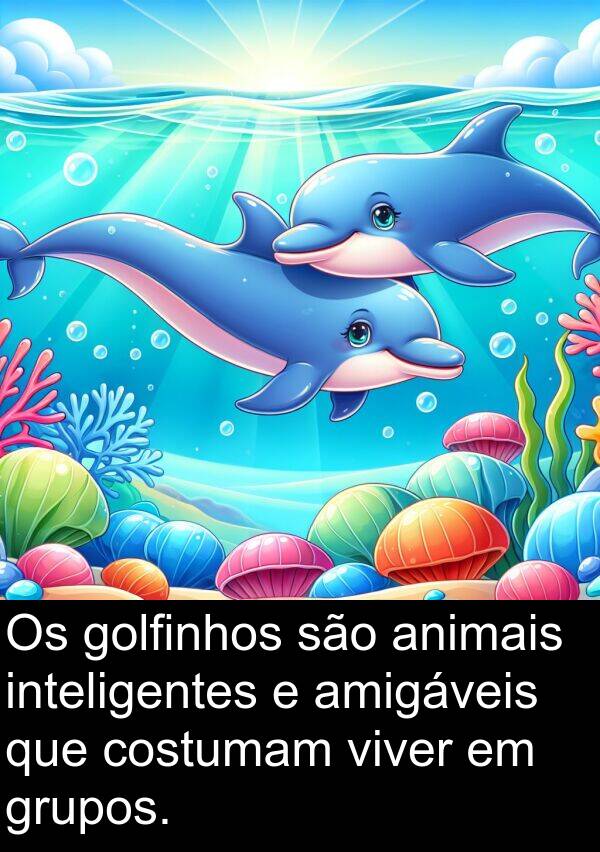 animais: Os golfinhos são animais inteligentes e amigáveis que costumam viver em grupos.
