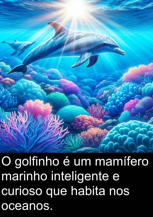 mamífero: O golfinho é um mamífero marinho inteligente e curioso que habita nos oceanos.
