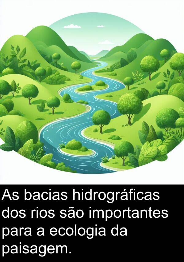 rios: As bacias hidrográficas dos rios são importantes para a ecologia da paisagem.