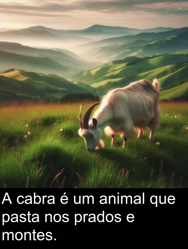 cabra: A cabra é um animal que pasta nos prados e montes.