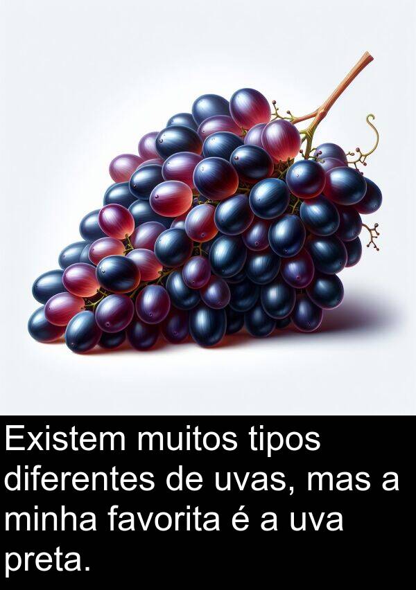 uvas: Existem muitos tipos diferentes de uvas, mas a minha favorita é a uva preta.