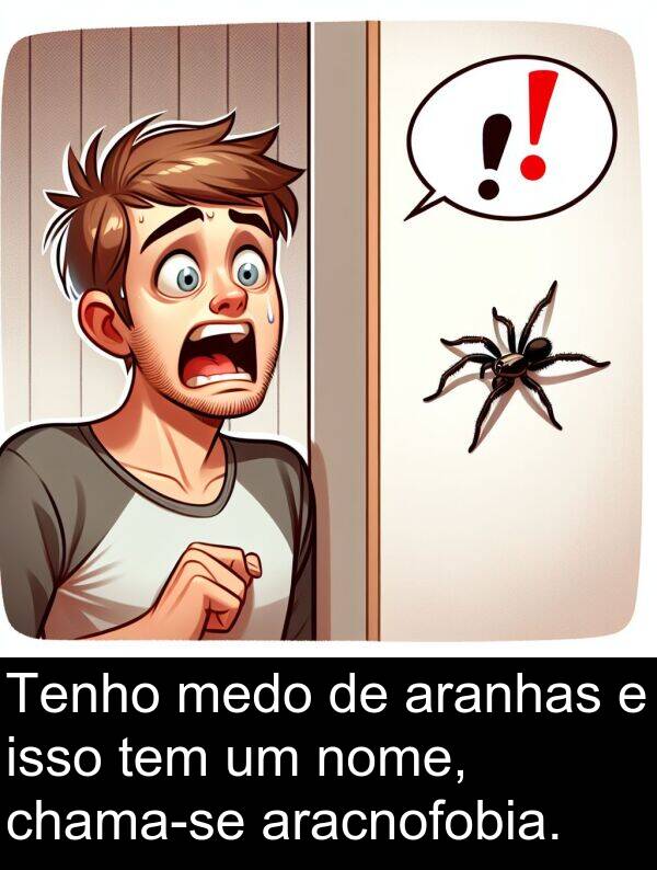aranhas: Tenho medo de aranhas e isso tem um nome, chama-se aracnofobia.