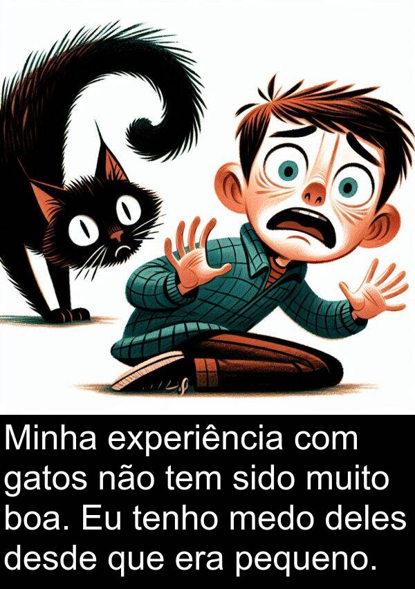 gatos: Minha experiência com gatos não tem sido muito boa. Eu tenho medo deles desde que era pequeno.