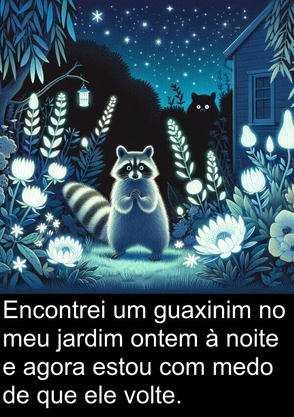 volte: Encontrei um guaxinim no meu jardim ontem à noite e agora estou com medo de que ele volte.