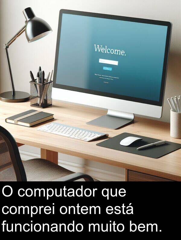 funcionando: O computador que comprei ontem está funcionando muito bem.