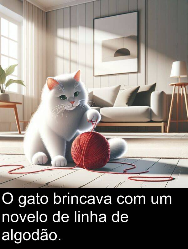 gato: O gato brincava com um novelo de linha de algodão.