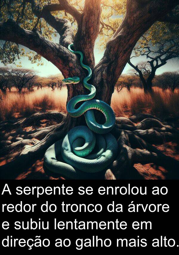 galho: A serpente se enrolou ao redor do tronco da árvore e subiu lentamente em direção ao galho mais alto.