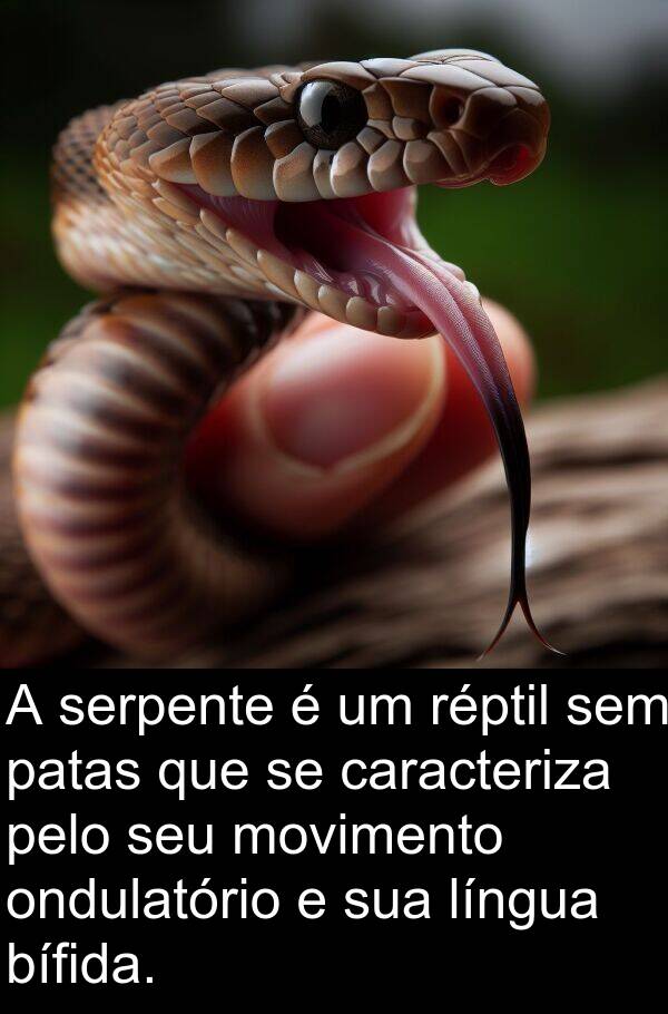 movimento: A serpente é um réptil sem patas que se caracteriza pelo seu movimento ondulatório e sua língua bífida.