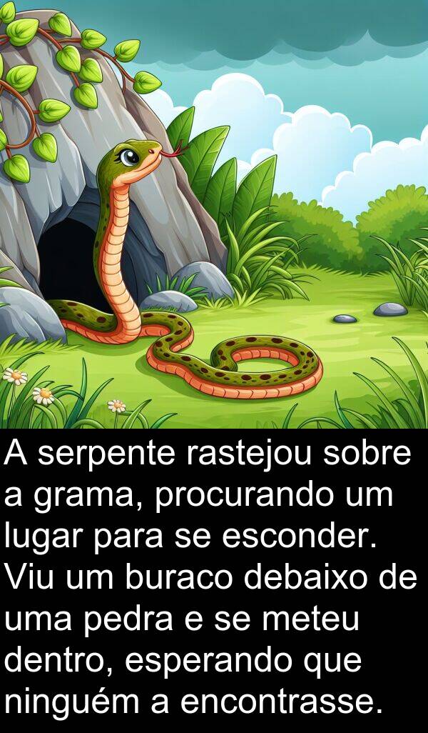 rastejou: A serpente rastejou sobre a grama, procurando um lugar para se esconder. Viu um buraco debaixo de uma pedra e se meteu dentro, esperando que ninguém a encontrasse.