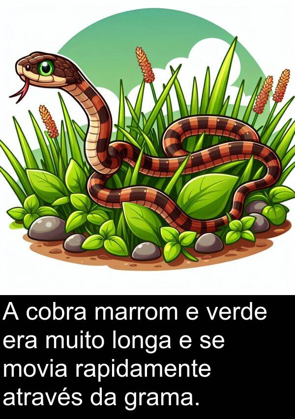 rapidamente: A cobra marrom e verde era muito longa e se movia rapidamente através da grama.