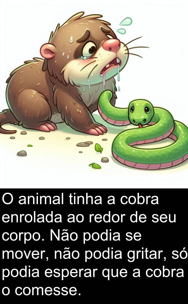 corpo: O animal tinha a cobra enrolada ao redor de seu corpo. Não podia se mover, não podia gritar, só podia esperar que a cobra o comesse.