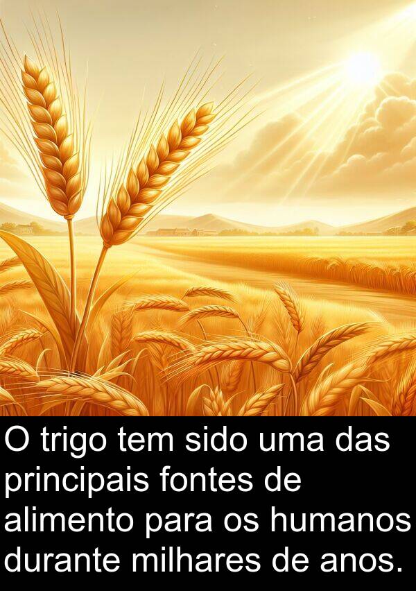 trigo: O trigo tem sido uma das principais fontes de alimento para os humanos durante milhares de anos.