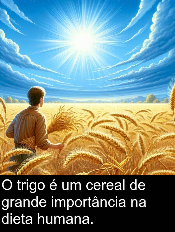trigo: O trigo é um cereal de grande importância na dieta humana.