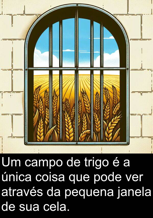 janela: Um campo de trigo é a única coisa que pode ver através da pequena janela de sua cela.