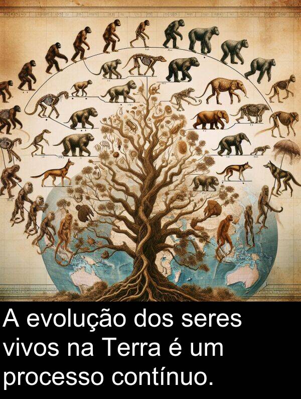 seres: A evolução dos seres vivos na Terra é um processo contínuo.