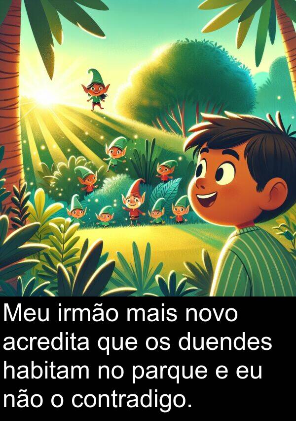 contradigo: Meu irmão mais novo acredita que os duendes habitam no parque e eu não o contradigo.