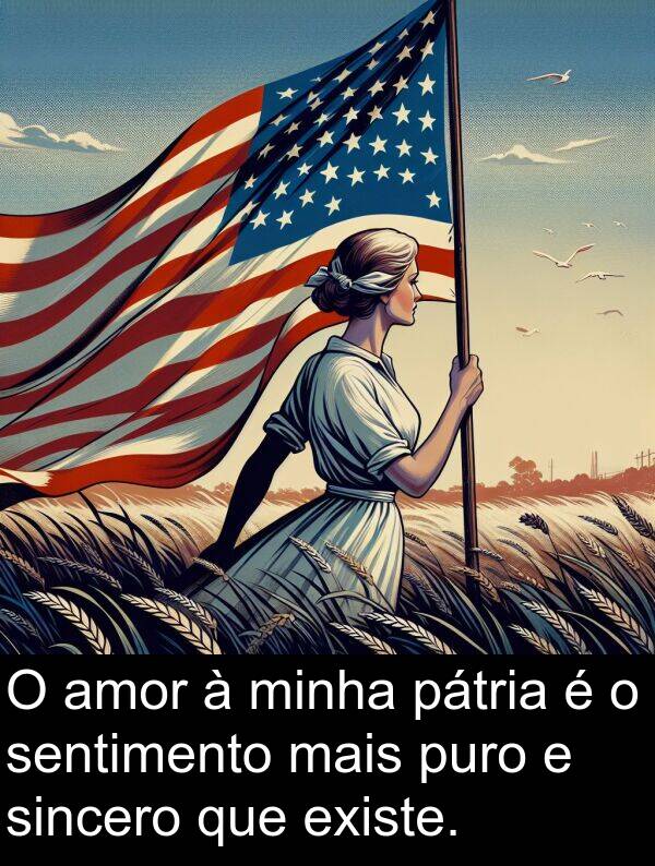 sentimento: O amor à minha pátria é o sentimento mais puro e sincero que existe.