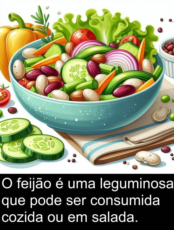 salada: O feijão é uma leguminosa que pode ser consumida cozida ou em salada.