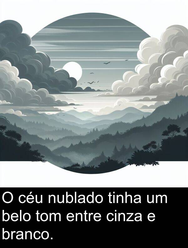 tom: O céu nublado tinha um belo tom entre cinza e branco.