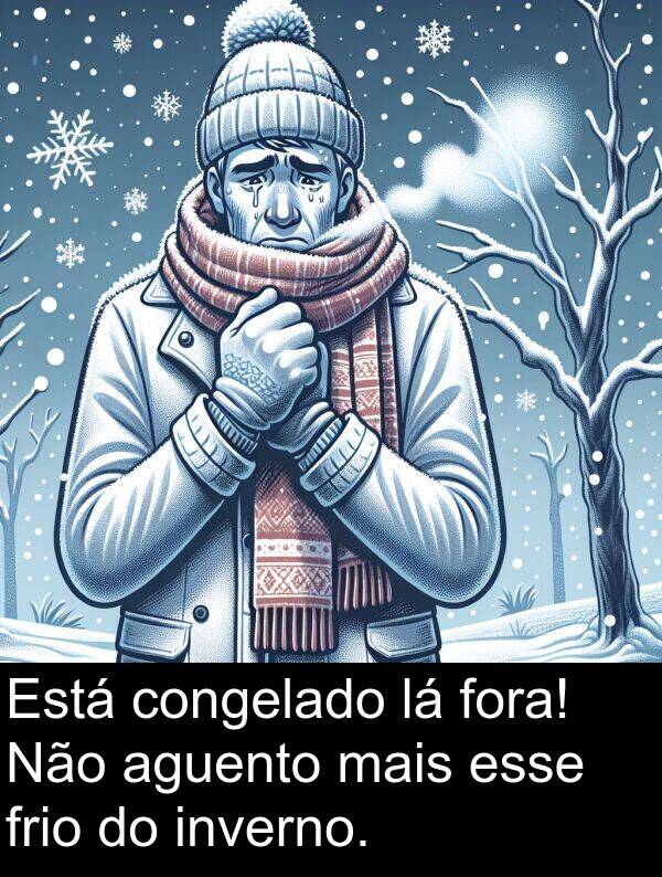 congelado: Está congelado lá fora! Não aguento mais esse frio do inverno.