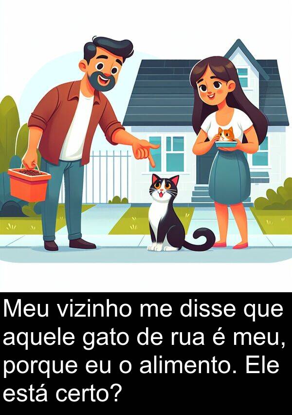 gato: Meu vizinho me disse que aquele gato de rua é meu, porque eu o alimento. Ele está certo?