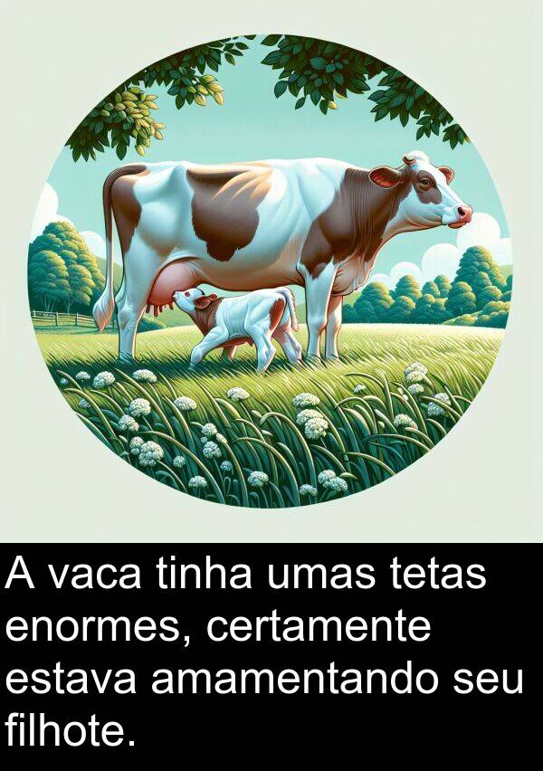 vaca: A vaca tinha umas tetas enormes, certamente estava amamentando seu filhote.