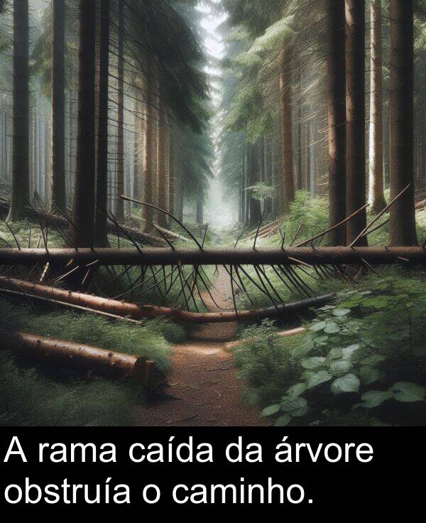 caminho: A rama caída da árvore obstruía o caminho.