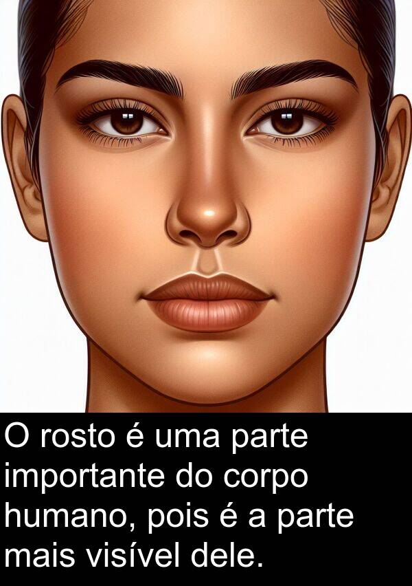 corpo: O rosto é uma parte importante do corpo humano, pois é a parte mais visível dele.
