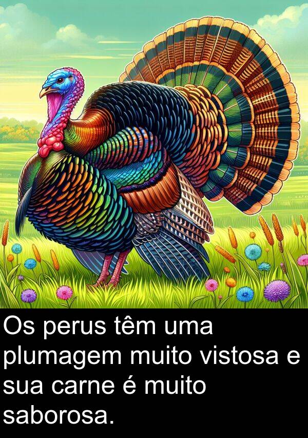 carne: Os perus têm uma plumagem muito vistosa e sua carne é muito saborosa.