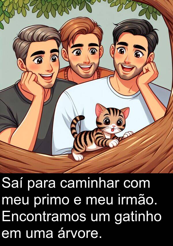 gatinho: Saí para caminhar com meu primo e meu irmão. Encontramos um gatinho em uma árvore.