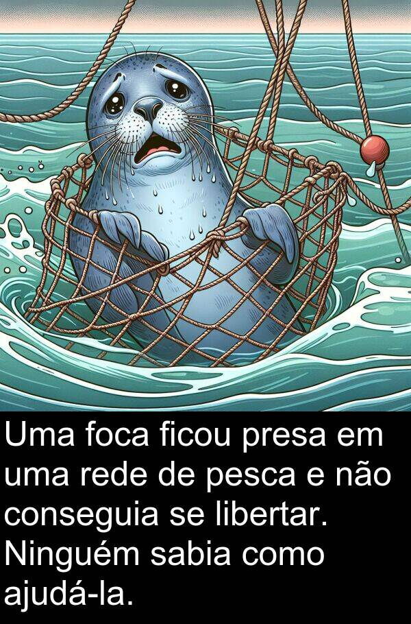 sabia: Uma foca ficou presa em uma rede de pesca e não conseguia se libertar. Ninguém sabia como ajudá-la.