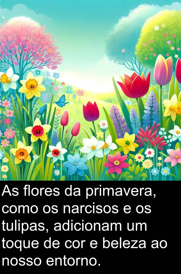 narcisos: As flores da primavera, como os narcisos e os tulipas, adicionam um toque de cor e beleza ao nosso entorno.