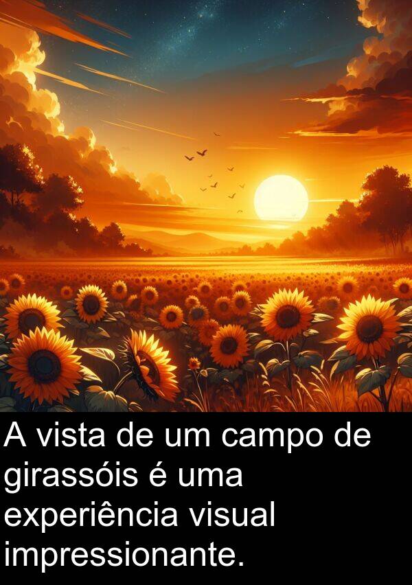 experiência: A vista de um campo de girassóis é uma experiência visual impressionante.