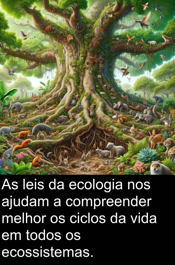 melhor: As leis da ecologia nos ajudam a compreender melhor os ciclos da vida em todos os ecossistemas.