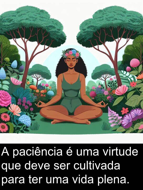 paciência: A paciência é uma virtude que deve ser cultivada para ter uma vida plena.