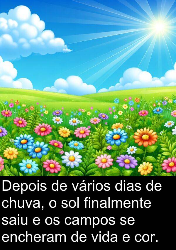saiu: Depois de vários dias de chuva, o sol finalmente saiu e os campos se encheram de vida e cor.