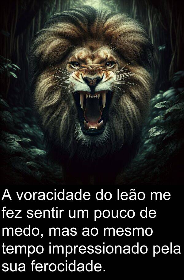 mesmo: A voracidade do leão me fez sentir um pouco de medo, mas ao mesmo tempo impressionado pela sua ferocidade.