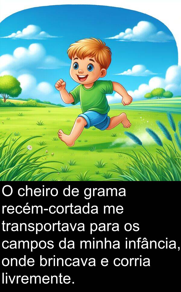 campos: O cheiro de grama recém-cortada me transportava para os campos da minha infância, onde brincava e corria livremente.