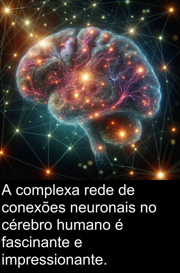 neuronais: A complexa rede de conexões neuronais no cérebro humano é fascinante e impressionante.