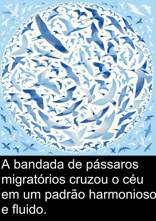 padrão: A bandada de pássaros migratórios cruzou o céu em um padrão harmonioso e fluido.
