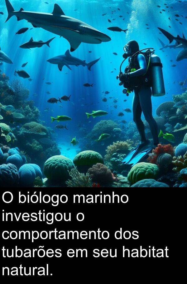natural: O biólogo marinho investigou o comportamento dos tubarões em seu habitat natural.