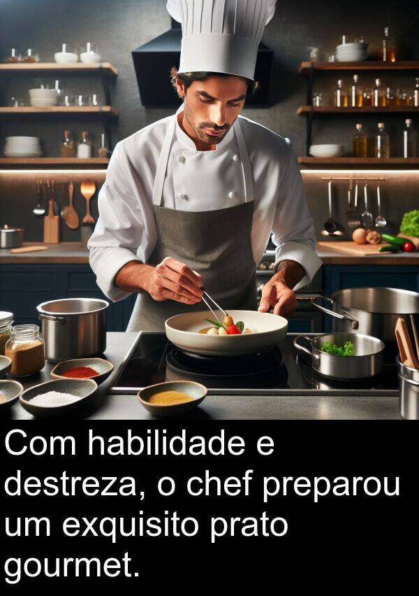 destreza: Com habilidade e destreza, o chef preparou um exquisito prato gourmet.