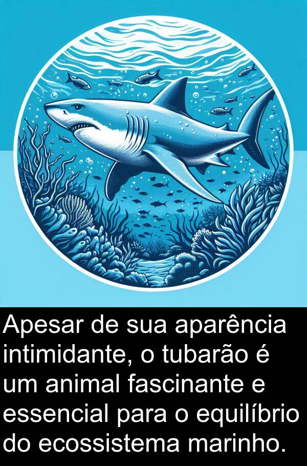 marinho: Apesar de sua aparência intimidante, o tubarão é um animal fascinante e essencial para o equilíbrio do ecossistema marinho.