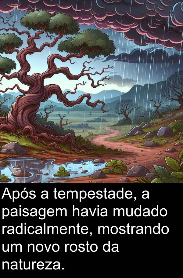 natureza: Após a tempestade, a paisagem havia mudado radicalmente, mostrando um novo rosto da natureza.